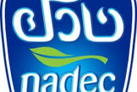 nadec-operational-staff-saudi-arabia-jobs